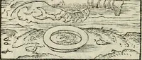 Picture 29 of 116 from Andreae Alciati emblematvm libellvs (1534), leaf 33