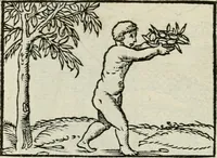 Picture 33 of 116 from Andreae Alciati emblematvm libellvs (1534), leaf 37