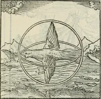 Picture 36 of 116 from Andreae Alciati emblematvm libellvs (1534), leaf 40