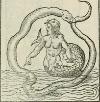 Picture 43 of 116 from Andreae Alciati emblematvm libellvs (1534), leaf 48