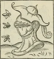 Picture 47 of 116 from Andreae Alciati emblematvm libellvs (1534), leaf 52