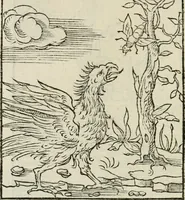 Picture 56 of 116 from Andreae Alciati emblematvm libellvs (1534), leaf 61