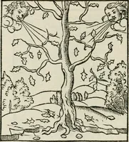 Picture 58 of 116 from Andreae Alciati emblematvm libellvs (1534), leaf 63