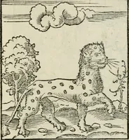 Picture 64 of 116 from Andreae Alciati emblematvm libellvs (1534), leaf 70