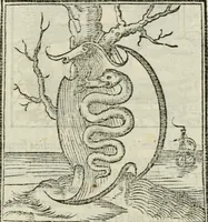 Picture 3 of 116 from Andreae Alciati emblematvm libellvs (1534), leaf 8