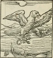 Picture 75 of 116 from Andreae Alciati emblematvm libellvs (1534), leaf 81
