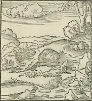 Picture 87 of 116 from Andreae Alciati emblematvm libellvs (1534), leaf 94