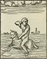 Picture 88 of 116 from Andreae Alciati emblematvm libellvs (1534), leaf 95