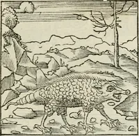 Picture 89 of 116 from Andreae Alciati emblematvm libellvs (1534), leaf 96