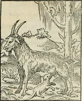 Picture 92 of 116 from Andreae Alciati emblematvm libellvs (1534), leaf 99