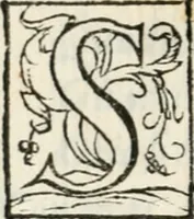 An illustration from Alcvne rime et versi (1588)