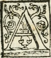 An illustration from Alcvne rime et versi (1588)