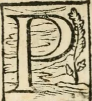 Picture 2 of 10 from Alcvne rime et versi (1588), leaf 6