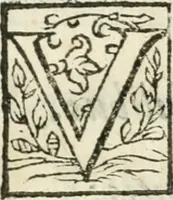 An illustration from Alcvne rime et versi (1588)