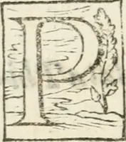 Picture 7 of 10 from Alcvne rime et versi (1588), leaf 61