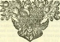 Picture 6 of 153 from Alexandri Donati e Societate Jesu Roma vetus ac recens : utriusque ædificiis illustrata : in multis locis aucta, castigatior reddita, indice locupletissimo & figuris aeneis illustrata (1695), leaf 15