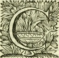 An illustration from Alexandri Donati e Societate Jesu Roma vetus ac recens : utriusque ædificiis illustrata : in multis locis aucta, castigatior reddita, indice locupletissimo & figuris aeneis illustrata (1695)