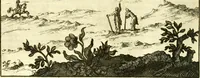 An illustration from Alexandri Donati e Societate Jesu Roma vetus ac recens : utriusque ædificiis illustrata : in multis locis aucta, castigatior reddita, indice locupletissimo & figuris aeneis illustrata (1695)