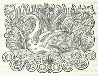 Picture 49 of 49 from Alexandri Donati e Societate Jesu, Roma vetus ac recens, utriusque aedificiis illustrata : in multis locis aucta, castigatior reddita, indice locupletissimo, & figuris aeneis illustrata (1695), leaf 566