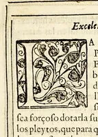 An illustration from Al excelentissimo señor don Garcia de Avellaneda i Haro conde de Castrillo, señor de las villas de Valverde, Alcubilla de la Pinilla, Alcoba de la Torre, Quintanilla de Nuño Pedro, i de Villalva, alcayde perpetuo de Alàma, de Molina, i de Atien̨ca, Alguazil mayor i primer regidor de Aranda de Duero, patron de san Geronimo de Espeja, del Colegio de la Veracruz, i monasterios de los Valles, i San Bernardo de Aranda, comendador de la obreria, i de argamasilla, en la orden de Calatrava, gentil-hombre de la camara de su Magestad, de sus consejos de estado, castilla, i camara, i preseidente en el Real y Supremo de las Indias; (1646)
