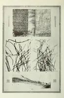 An illustration from Alfombras - tapices i tejidos criollos (1916)