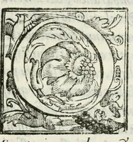 An illustration from Alfonsi Saxi i. v. d. Mvtin. aqvarii comitis oratio in fvnere ser.mi Alfonsi II. Ferrariae dvcis, &c. : habita Mvtinae, in ecclesia cathedrali pridie idvs Ianvarii (1599)
