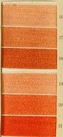 An illustration from Algole colours (1914)