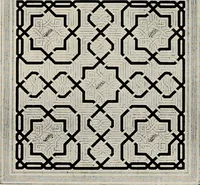An illustration from The Alhambra, being a brief record of the Arabian conquest of the Peninsula (1907)