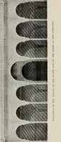 An illustration from The Alhambra, being a brief record of the Arabian conquest of the Peninsula (1907)