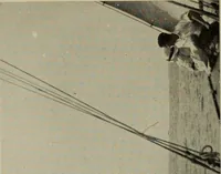 An illustration from Alice and I at Larchmont (1915)