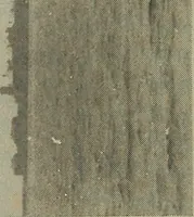 An illustration from Alice and I at Larchmont (1915)