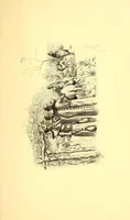 An illustration from Ali Moçambique : Bilder aus dem Leben eines schwarzen Fabeldichters (1922)