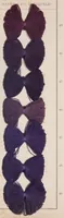An illustration from Alizarinfarben auf Baumwollgarn. (1900)