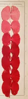 Picture 2 of 9 from Alizarinfarben auf Baumwollgarn. (1900), leaf 7