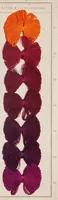 Picture 4 of 9 from Alizarinfarben auf Baumwollgarn. (1900), leaf 9