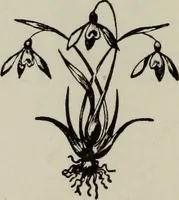Picture 83 of 146 from All around a palette (1878), leaf 179