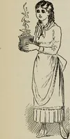 Picture 100 of 146 from All around a palette (1878), leaf 211