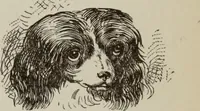 An illustration from All around a palette (1878)