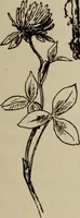 Picture 24 of 146 from All around a palette (1878), leaf 56