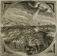 Picture 77 of 305 from Alle de wercken, so ouden als nieuwen (1658), leaf 144