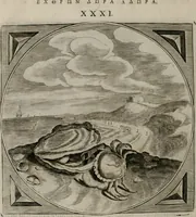 Picture 87 of 305 from Alle de wercken, so ouden als nieuwen (1658), leaf 153
