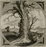 Picture 97 of 305 from Alle de wercken, so ouden als nieuwen (1658), leaf 163