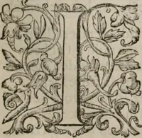Picture 104 of 305 from Alle de wercken, so ouden als nieuwen (1658), leaf 185