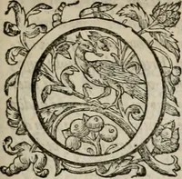 Picture 105 of 305 from Alle de wercken, so ouden als nieuwen (1658), leaf 186