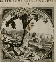 Picture 8 of 305 from Alle de wercken, so ouden als nieuwen (1658), leaf 27