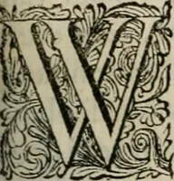 Picture 156 of 305 from Alle de wercken, so ouden als nieuwen (1658), leaf 404