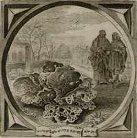 Picture 220 of 305 from Alle de wercken, so ouden als nieuwen (1658), leaf 569