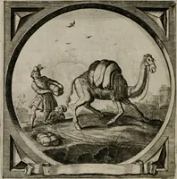 Picture 242 of 305 from Alle de wercken, so ouden als nieuwen (1658), leaf 609