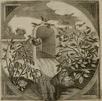 Picture 35 of 305 from Alle de wercken, so ouden als nieuwen (1658), leaf 81