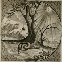 Picture 39 of 305 from Alle de wercken, so ouden als nieuwen (1658), leaf 89